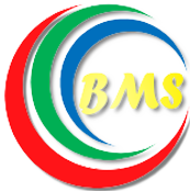 Website Logo